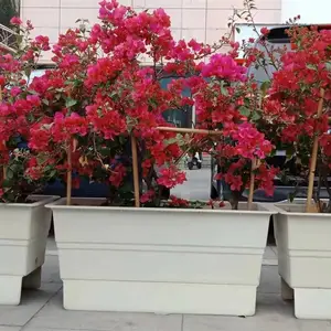 悬挂式 玻璃钢花盆厂家 长方形 白色 河道绿化花箱 外翻沿
