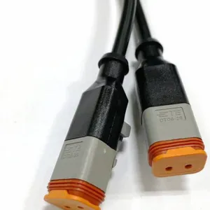�Ϻ���ӭ��TE DT06-2S��������ˮע�ܳ��ʹ��߲�ͷTE2о��������
