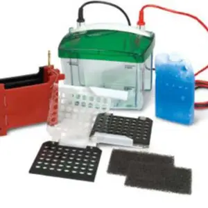 伯乐小型垂直电泳槽Mini-PROTEAN Tetra-1658001