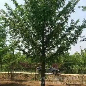 �ؾ�20�����������۸� ���� ���ɻ���