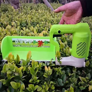 ���ɲ���綯��Ҷ��ժ������������޼���