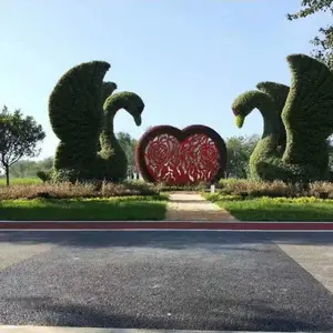 �������ݽ���������̵��Ŀ�㡢С����ɶ������̵�ͼƬ