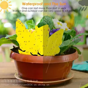 ��Ӭ�岶��� �ճ��۸����� �����ճ��� Ľ��Դ