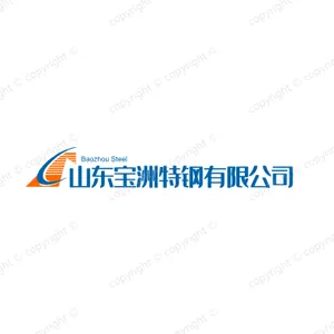 山东宝洲特钢有限公司