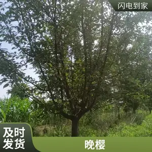 8-10-12-15-18����ӣ��������� 5-30���ֻ��س��� ԰�ֹ��;���
