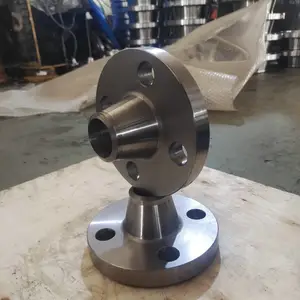����˫��ָ�ѹ���� 2507����ƽ�� DN300 2205���� ä��