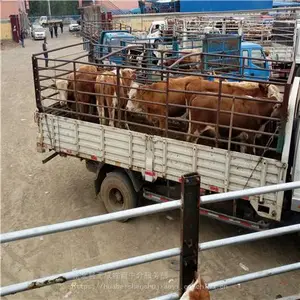 ������ţ���۸�Ʒ��ţ_�Ĵ���ţ��ֳ����