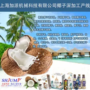 工椰子原浆加工 椰子蓉生产线 椰子油加工设备 椰子设备厂家