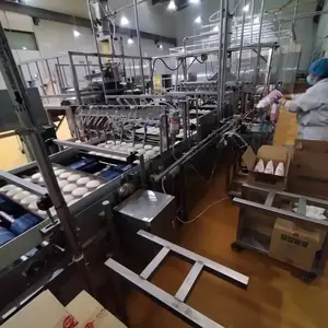 烘焙生产线用喷水、撒芝麻设备 糖、油、水系统支持定制