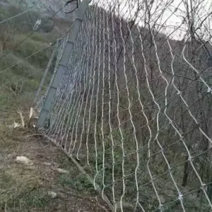 ���θ�˿�����ļҺ�-���θ�˿��������-���θ�˿����������