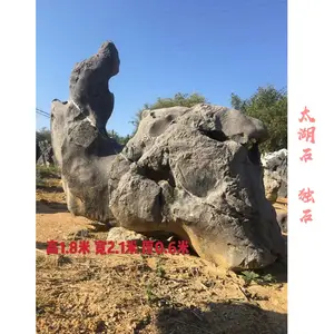 ����̫��ʯ ����̬��������ʯ С����ͥԺ����ʯ ��ʽ԰�־�ʯ