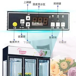 �ʻ������չʾ�� ����˫�����Ż����ʻ����ʷ���չ�� ���ñ������