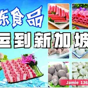 冷冻食品拼箱/整柜运输到新加坡