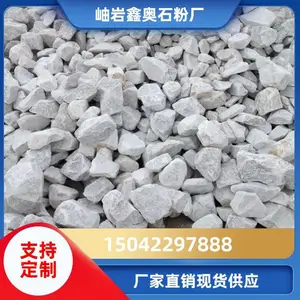 �ΰ� �� ����Ư�� ���ȸ� ��ѧ�о� ����ʯԭʯ ֧�ֶ���