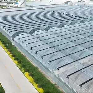 连栋薄膜温室