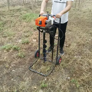 ɽ��Ϋ�����ӻ� ԰��ֲ����׻� ������׻� ��Ѩ��