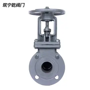 �ӱ�����Ǭ ����բ�� Z41-16C ̼�ַ���բ��dn50 ����