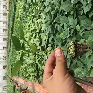 �ʽ��� ��ɫ ��ɫ ��ɫ���� �ٹ������糧 �������� �������� ��������