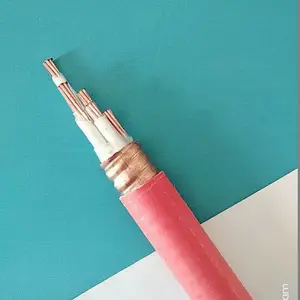 YTTW�����Ե����