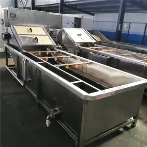 果蔬气泡清洗机 新疆大枣枸杞清洗设备 净菜加工设备 ***扶贫