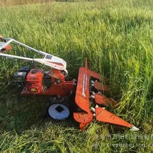 С���������޻��ո������ո�� ����ʽ���͸�ɹ�����