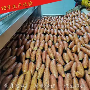 鹏福特电加热连续地瓜烘烤线全自动节能红薯烘烤机操作简单省人工