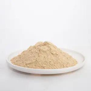 铸钢件用镁砂细粉 烧结300目镁砂 重烧镁砂粉