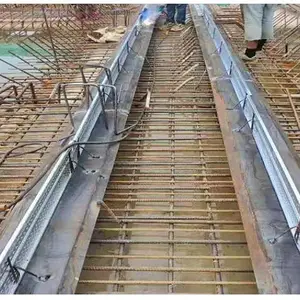 中实 免拆型建筑工程止水鱼鳞网 后浇水带止水网 冲孔网