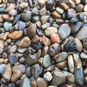 广东江门鹅卵石规格齐全 江门鹅卵石供应基地 江门鹅卵石建筑石材