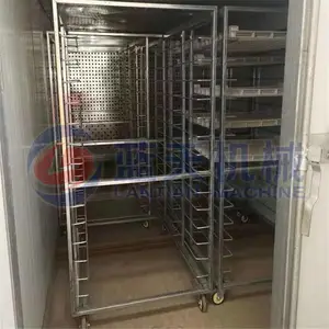 ���� ���˺�ɻ� ���˺�ɻ� ���ܿ���