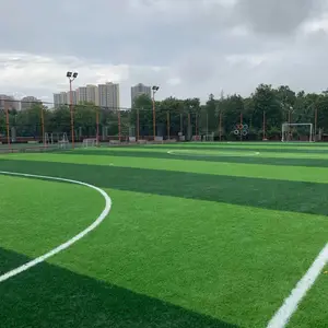 �� �����򳡲��� ����1�������ܽ� ��ζ���� ���˶���� ����8��