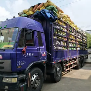 厂家直销优质工业木炭;杂木炭;硬质耐烧;量大从优;价格优惠