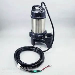 �ձ�TSURUMI PUMP�׼�������Ǳˮ��50PU2.75
