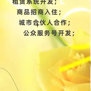 共享租赁系统开发