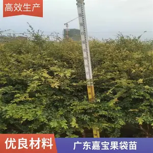 �α�������۸� �����α��� �α�������