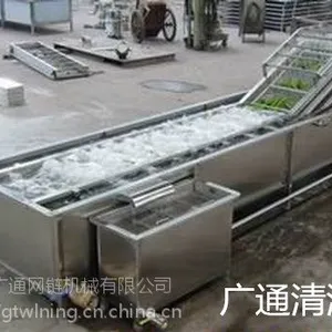 山东省厂家直销楚业gt-蔬菜清洗机|楚业GT-海带清洗机|性价比高