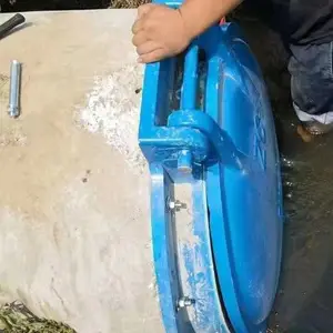 ҫ��ˮ����еֱ��400mm���Ʒ�����ˮ���Ź�Ӧ�۸�