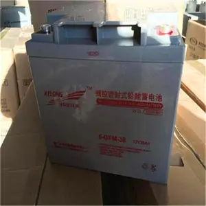 �ƻ�����6-GFM-24/12V24AH�Ծɻ�������Ǯ