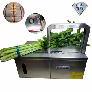 �ʻ���������� ��������� �߲�������
