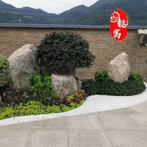 ��ƺ��׺ʯ�У�̩ɽʯ���ֽ�-��ƺ�Ϸ�ʯͷ�ÿ�