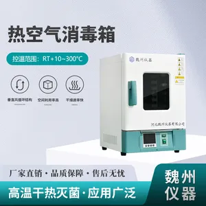 热空气消毒箱鼓风干燥箱高温加热型工业烤箱烘干机实验室