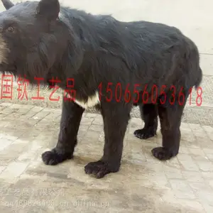 大型场馆动物供应棕熊仿真模型马来熊黑熊北极熊原尺寸仿真体制作