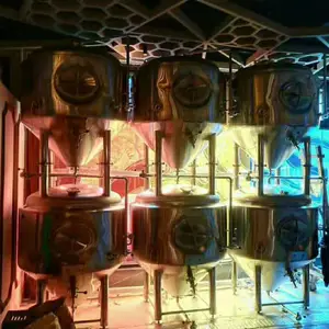 小型啤酒厂精酿啤酒设备 日产5000升精酿啤酒设备有哪些配置酿啤酒的设备