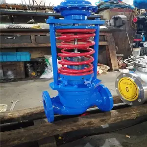ѹ����������ʽ��ѹ�� ZZYP-25B ������������ʽѹ�����ڷ� ZZYP-25C DN300