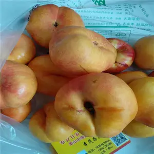 ����������޽���Ʒ������������������������ֲ