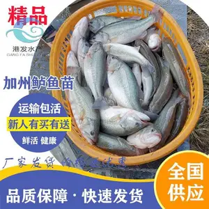 ���������������Ӧ ***�������൭ˮ���� ������ �ƹǻ�������������