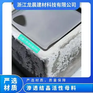 龙晨防腐涂料结晶致密高温环境下保持防水效果水泥基渗透结晶母