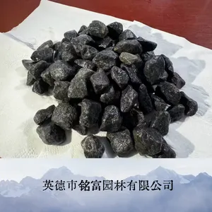 广 东黑色水洗砾石 3-5公分园林造景黑石子现货批发