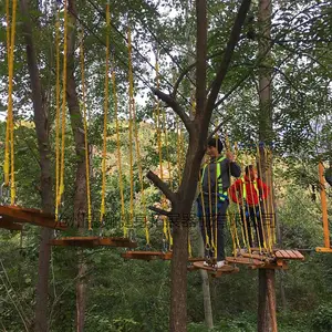 ����̽����Ŀ-���ִ�Խ��չ����-����̽������-��ʨ��չ��е