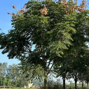 ���������� �� ����18-22�������� ҡǮ����������